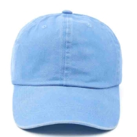 Blue Washed Cap